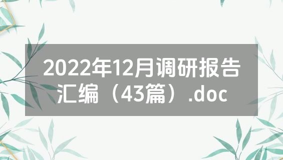 2022年12月调研报告汇编（43篇）.doc