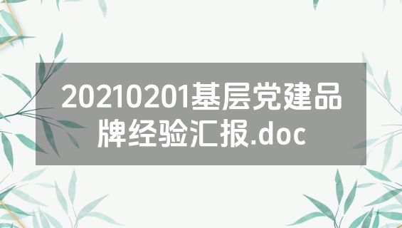 20210201基层党建品牌经验汇报.doc