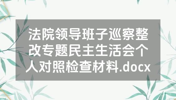 法院领导班子巡察整改专题民主生活会个人对照检查材料.docx