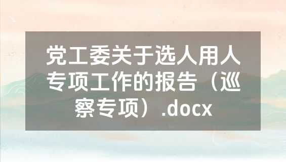 党工委关于选人用人专项工作的报告（巡察专项）.docx