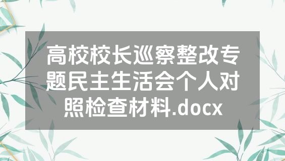 高校校长巡察整改专题民主生活会个人对照检查材料.docx