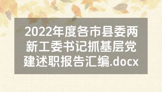2022年度各市县委两新工委书记抓基层党建述职报告汇编.docx