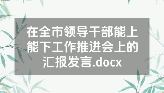 在全市领导干部能上能下工作推进会上的汇报发言.docx