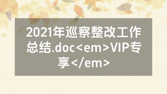 2021年巡察整改工作总结.doc<em>VIP专享</em>