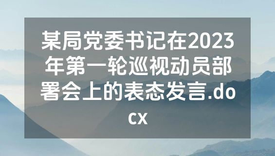 某局党委书记在2023年第一轮巡视动员部署会上的表态发言.docx