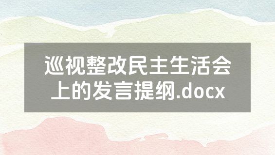 巡视整改民主生活会上的发言提纲.docx