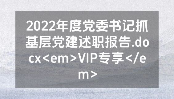 2022年度党委书记抓基层党建述职报告.docx<em>VIP专享</em>
