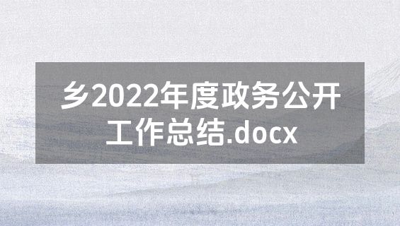 乡2022年度政务公开工作总结.docx