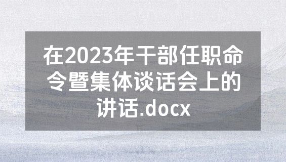 在2023年干部任职命令暨集体谈话会上的讲话.docx