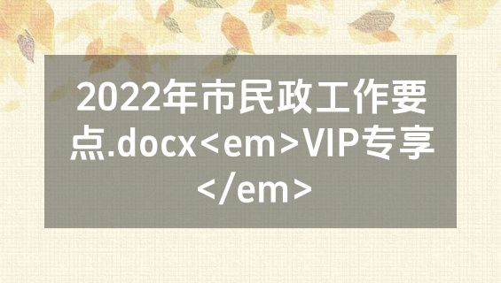 2022年市民政工作要点.docx<em>VIP专享</em>