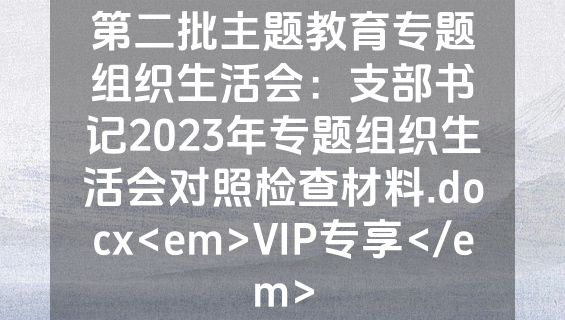 第二批主题教育专题组织生活会：支部书记2023年专题组织生活会对照检查材料.docx<em>VIP专享</em>