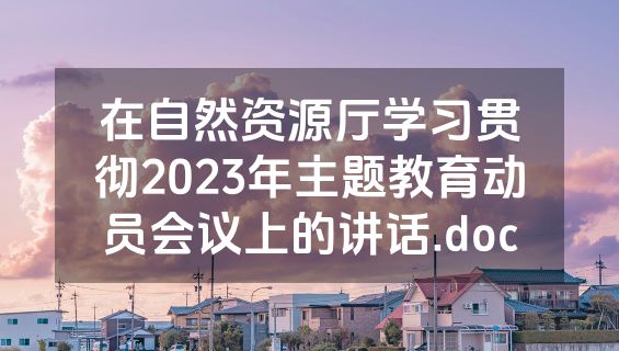 在自然资源厅学习贯彻2023年主题教育动员会议上的讲话.doc