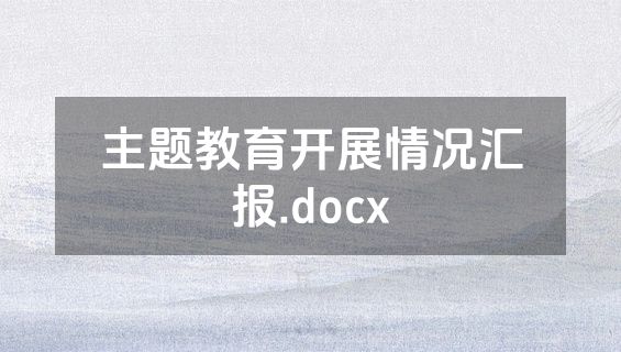 主题教育开展情况汇报.docx