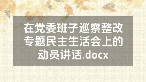 在党委班子巡察整改专题民主生活会上的动员讲话.docx