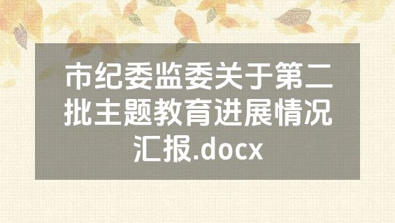 市纪委监委关于第二批主题教育进展情况汇报.docx