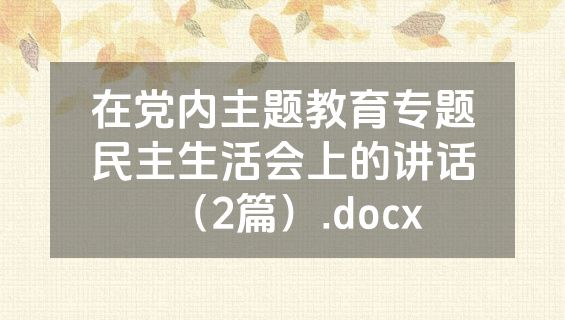 在党内主题教育专题民主生活会上的讲话（2篇）.docx