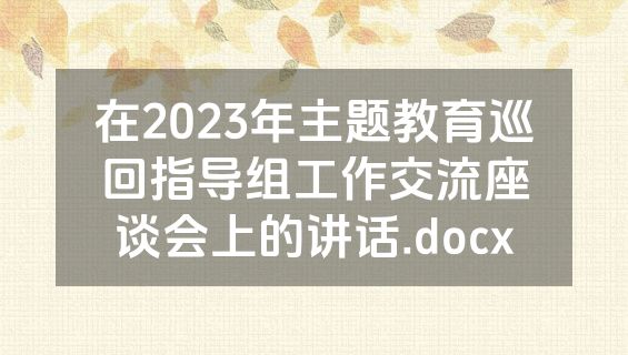 在2023年主题教育巡回指导组工作交流座谈会上的讲话.docx