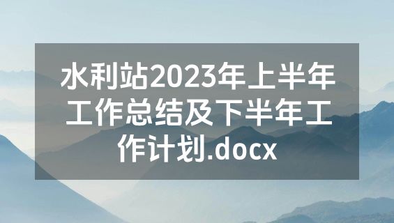 水利站2023年上半年工作总结及下半年工作计划.docx
