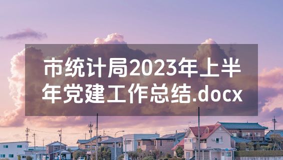 市统计局2023年上半年党建工作总结.docx