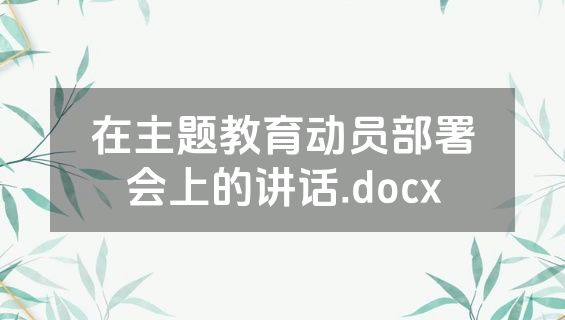 在主题教育动员部署会上的讲话.docx