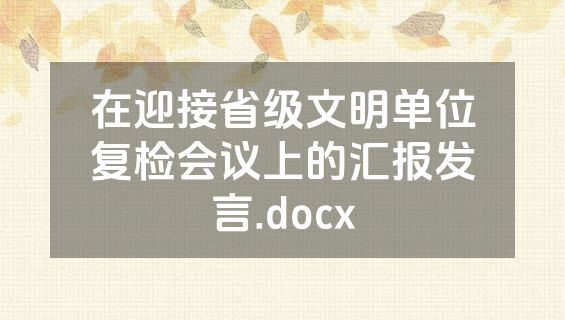 在迎接省级文明单位复检会议上的汇报发言.docx