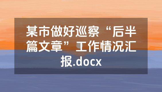 某市做好巡察“后半篇文章”工作情况汇报.docx