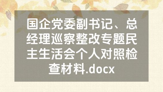 国企党委副书记、总经理巡察整改专题民主生活会个人对照检查材料.docx