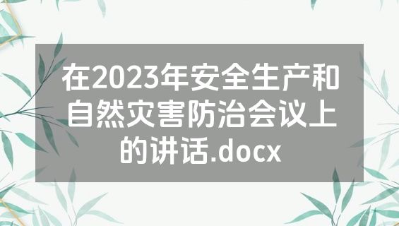 在2023年安全生产和自然灾害防治会议上的讲话.docx