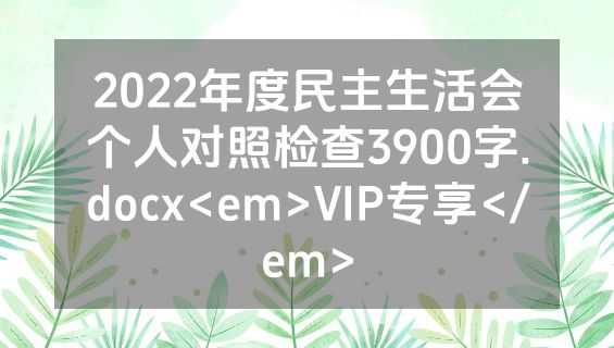 2022年度民主生活会个人对照检查3900字.docx<em>VIP专享</em>
