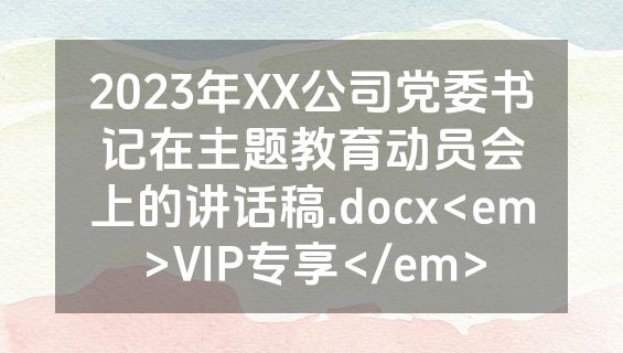2023年XX公司党委书记在主题教育动员会上的讲话稿.docx<em>VIP专享</em>