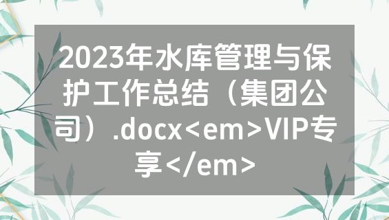 2023年水库管理与保护工作总结（集团公司）.docx<em>VIP专享</em>