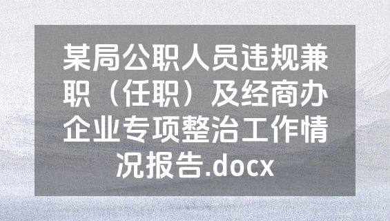 某局公职人员违规兼职（任职）及经商办企业专项整治工作情况报告.docx