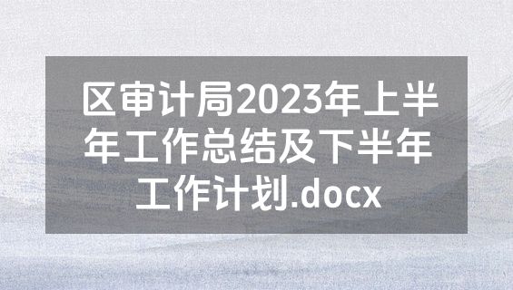 区审计局2023年上半年工作总结及下半年工作计划.docx