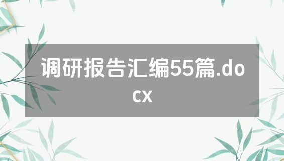 调研报告汇编55篇.docx