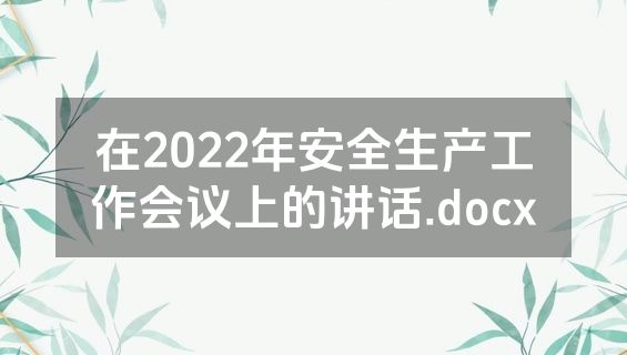在2022年安全生产工作会议上的讲话.docx