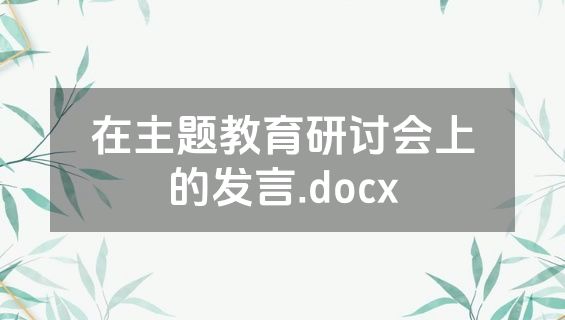 在主题教育研讨会上的发言.docx