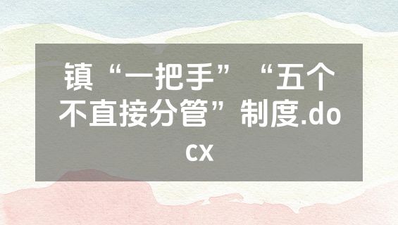 镇“一把手”“五个不直接分管”制度.docx