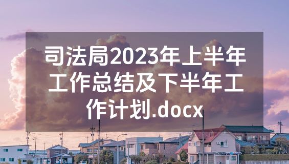 司法局2023年上半年工作总结及下半年工作计划.docx