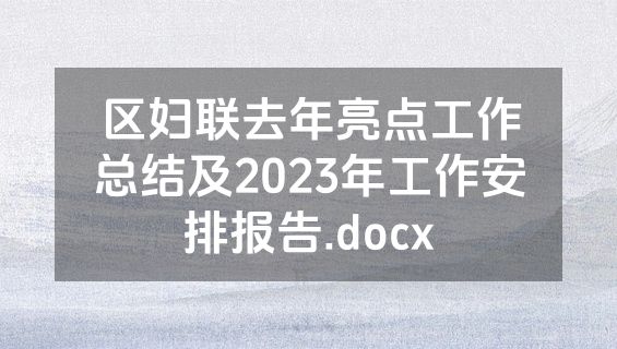 区妇联去年亮点工作总结及2023年工作安排报告.docx