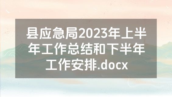 县应急局2023年上半年工作总结和下半年工作安排.docx