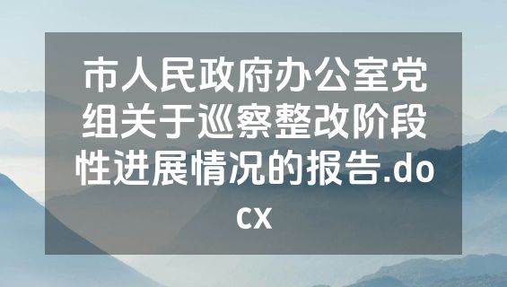 市人民政府办公室党组关于巡察整改阶段性进展情况的报告.docx
