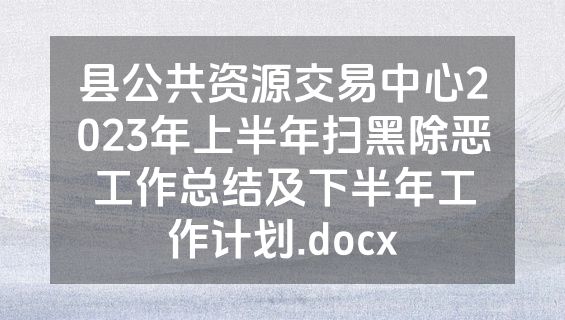 县公共资源交易中心2023年上半年扫黑除恶工作总结及下半年工作计划.docx