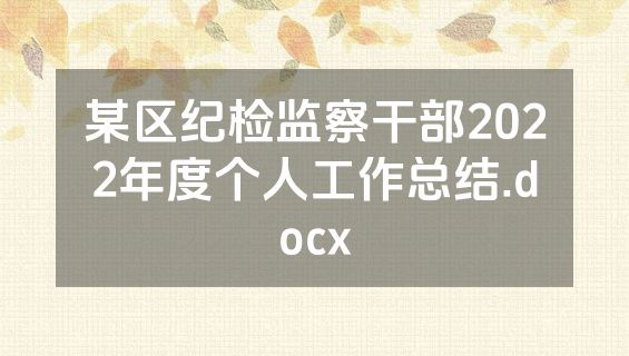 某区纪检监察干部2022年度个人工作总结.docx