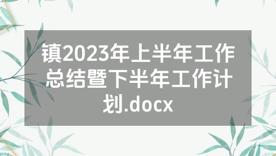 镇2023年上半年工作总结暨下半年工作计划.docx