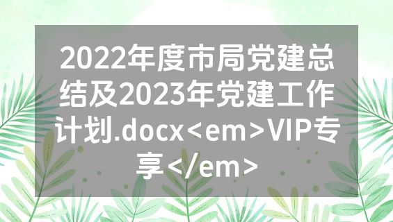 2022年度市局党建总结及2023年党建工作计划.docx<em>VIP专享</em>
