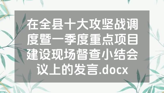 在全县十大攻坚战调度暨一季度重点项目建设现场督查小结会议上的发言.docx