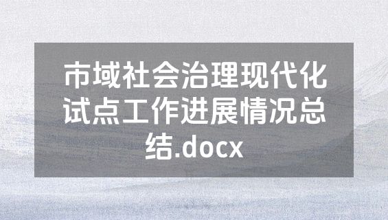 市域社会治理现代化试点工作进展情况总结.docx
