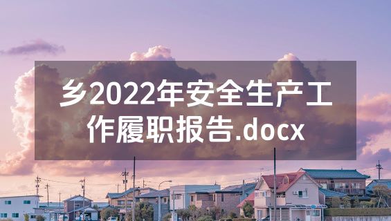 乡2022年安全生产工作履职报告.docx