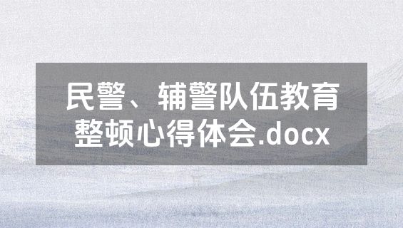 民警、辅警队伍教育整顿心得体会.docx
