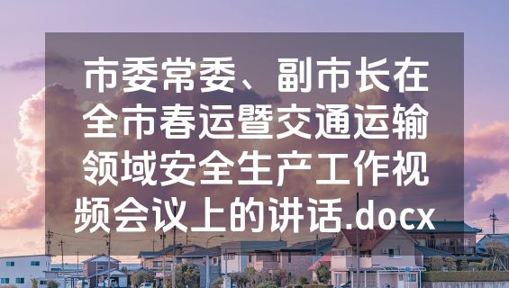 市委常委、副市长在全市春运暨交通运输领域安全生产工作视频会议上的讲话.docx